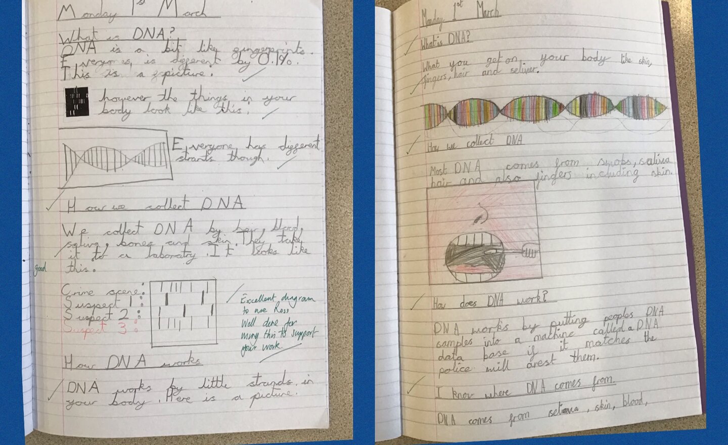 Image of DNA